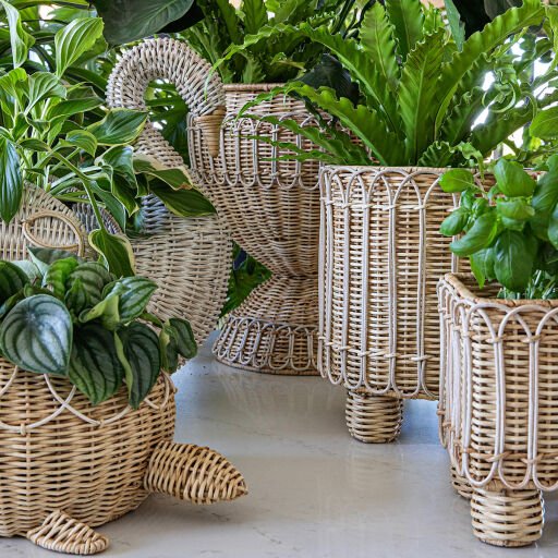 Provence Rattan